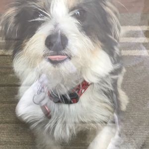 Meet your Posher, Merie